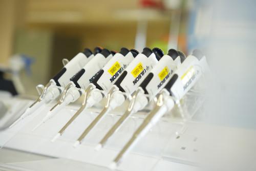 Our materials are well-characterised using various in-vitro diagnostic assays, such as EIA, IFA, CF, RIA, CAP and latex agglutination.